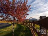 7461 Sky Ranch Rd - Photo 34
