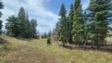 50 Thads Peak Dr - Photo 10