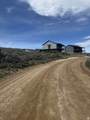 3113 Bunch Grass Dr - Photo 4