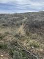 3113 Bunch Grass Dr - Photo 10