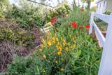 786 Shannon Rd - Photo 45