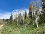 1798 Alexander Canyon Rd - Photo 2