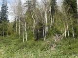 1798 Alexander Canyon Rd - Photo 11