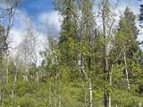 1798 Alexander Canyon Rd - Photo 5