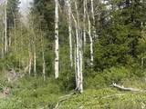 1798 Alexander Canyon Rd - Photo 8