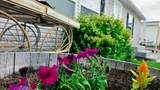 401 2000 - Photo 2