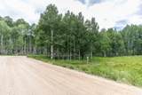 11911 Antelope Dr - Photo 9