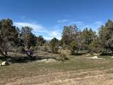 1 Old Highway 89 - Photo 5