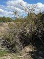 19 Old Highway 89 - Photo 4