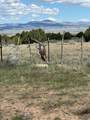 21 Old Highway 89 - Photo 9