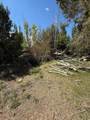 21 Old Highway 89 - Photo 10