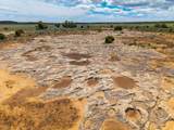 13000 Highway 491 - Photo 2