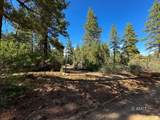 11630 Cedar Rd - Photo 2