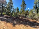 11630 Cedar Rd - Photo 3