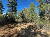 11630 Cedar Rd - Photo 5