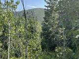 135 J Quaking Aspen Dr - Photo 11