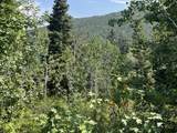 135 J Quaking Aspen Dr - Photo 9