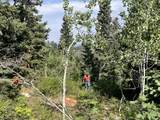 135 J Quaking Aspen Dr - Photo 10