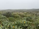 999 Hwy 39 - Photo 36