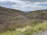 1 Hwy 39 - Photo 11