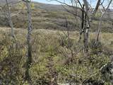 1 Hwy 39 - Photo 40