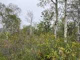 1 Hwy 39 - Photo 54