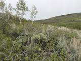 1 Hwy 39 - Photo 59