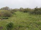 1 Hwy 39 - Photo 63
