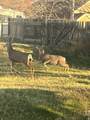 346 800 - Photo 46