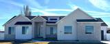 343 Dutton - Photo 1