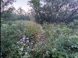 58 Juniper Dr - Photo 6