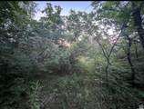 58 Juniper Dr - Photo 7