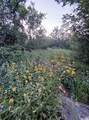 58 Juniper Dr - Photo 9
