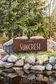15208 Eagle Chase Dr - Photo 71