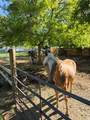 4995 3100 - Photo 9