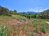 10279 Dimple Dell Rd - Photo 2