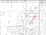 10279 Dimple Dell Rd - Photo 17