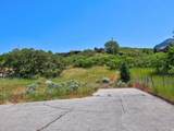 10279 Dimple Dell Rd - Photo 3