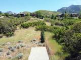 10279 Dimple Dell Rd - Photo 4