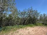 3438 Lupine Cir - Photo 3