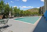 910 Donner Way - Photo 44