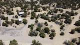2 Rebel Ridge Rd - Photo 11