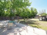 442 800 - Photo 45