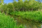 2050 Lower River Rd Rd - Photo 71