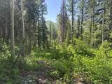 9328 Wild Clematis Ln - Photo 2