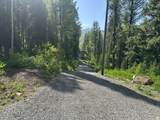 9328 Wild Clematis Ln - Photo 4