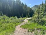 9328 Wild Clematis Ln - Photo 6