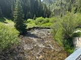 9328 Wild Clematis Ln - Photo 8