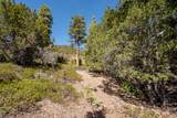 3706 Aspen Way - Photo 25