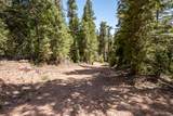 3706 Aspen Way - Photo 29